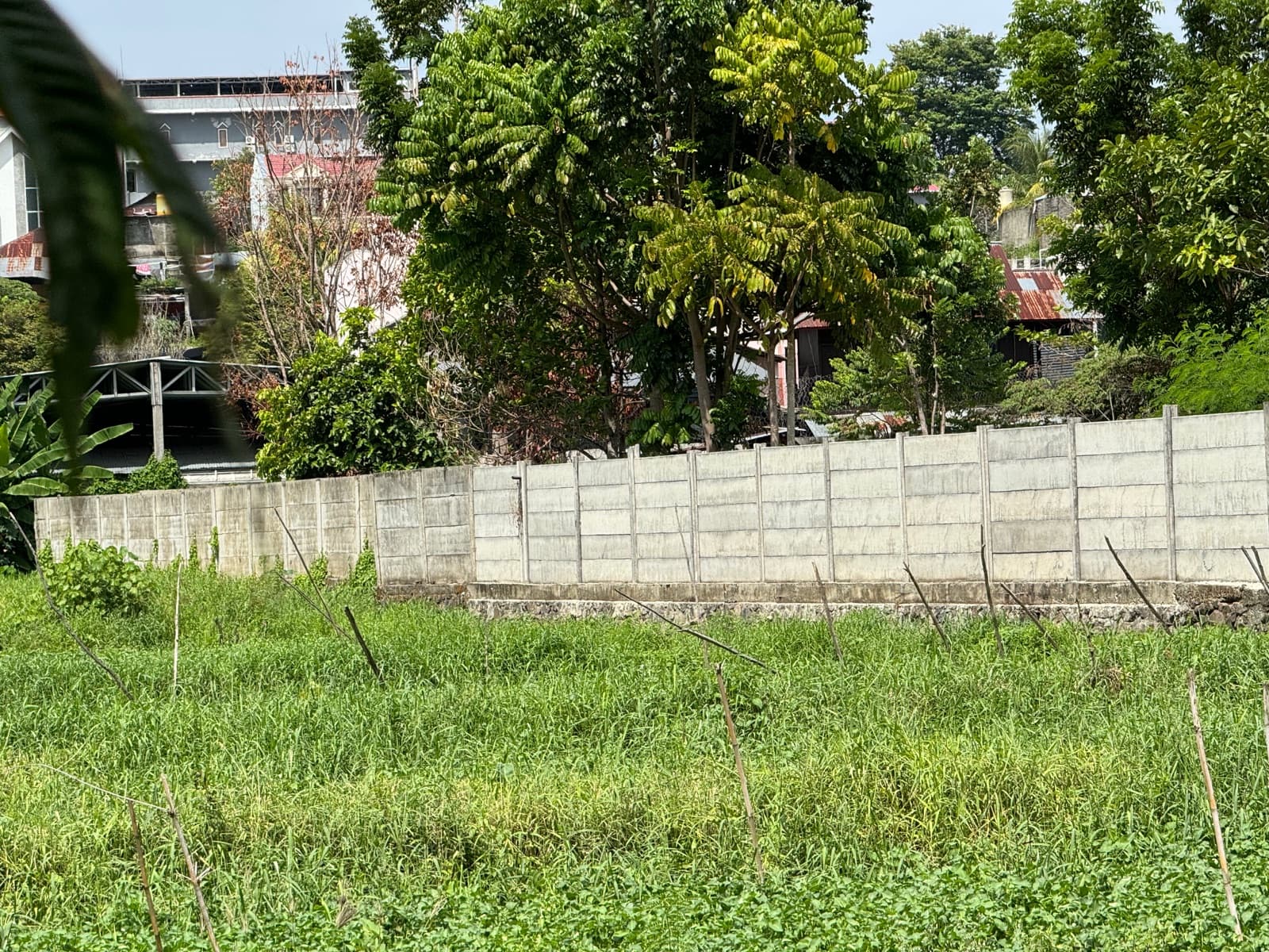 Sisi lahan hijau dengan tembok lingkungan di Karombasan Utara, Manado